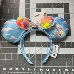Disney Brand Up! Mickey Ears